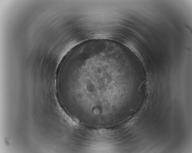 X0000102240992200808011244