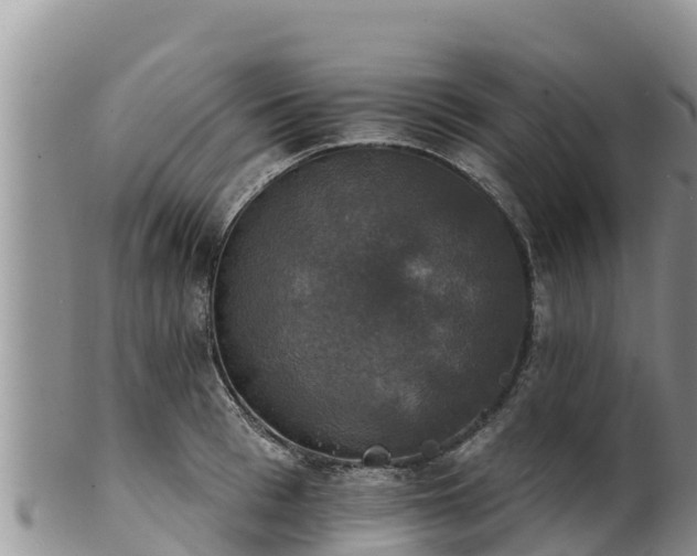 X0000102240993200808011244