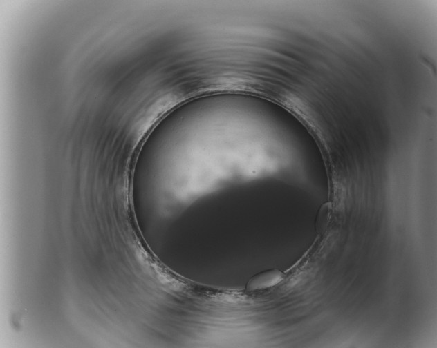 X0000102240994200808011244