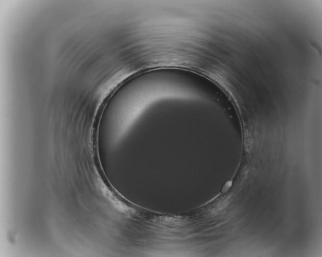 X0000102240995200808011244