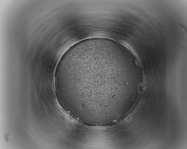 X0000102240996200808011244