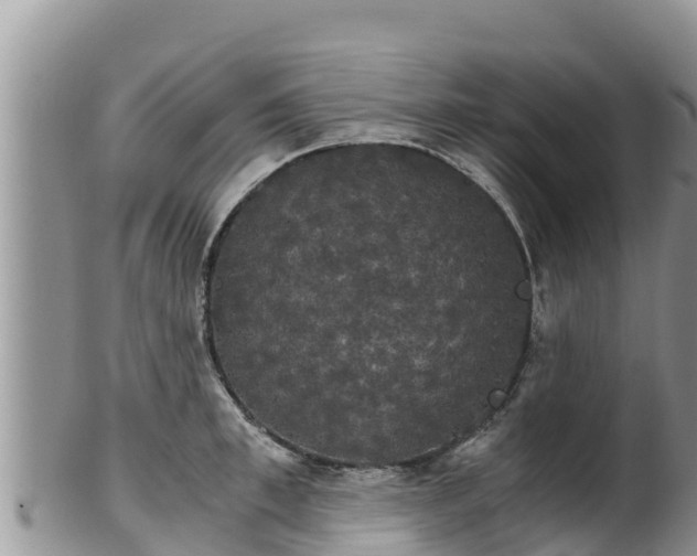 X0000102240997200808011244