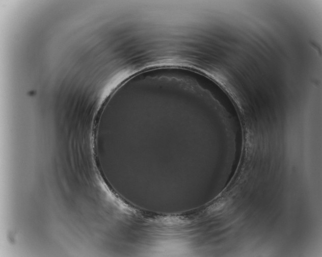 X0000102240998200808011244