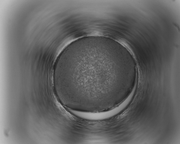 X0000102241000200808011243