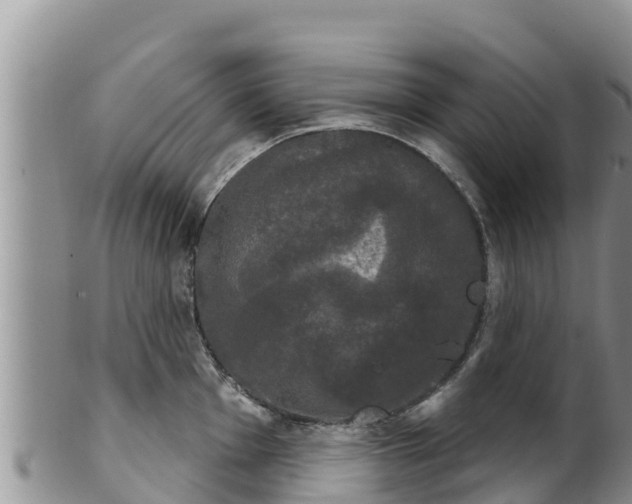 X0000102241001200808011243