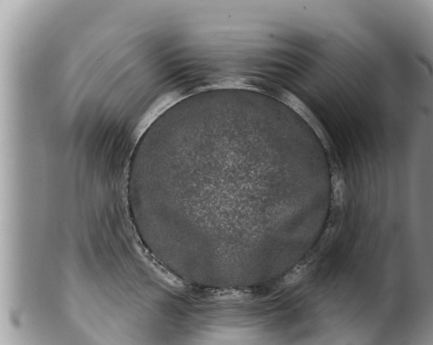 X0000102241002200808011243