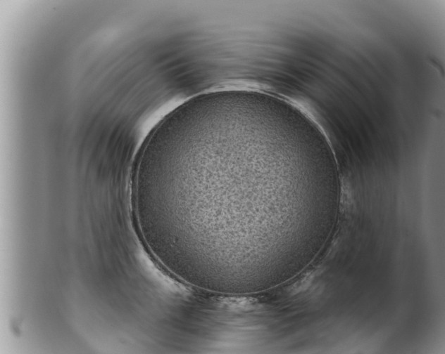 X0000102241003200808011243