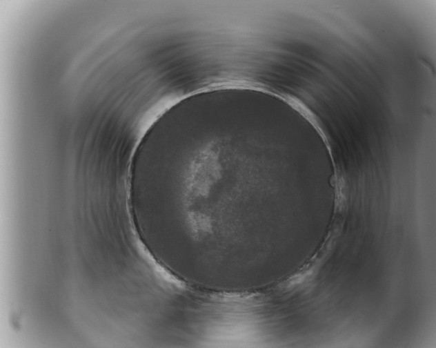 X0000102241005200808011243