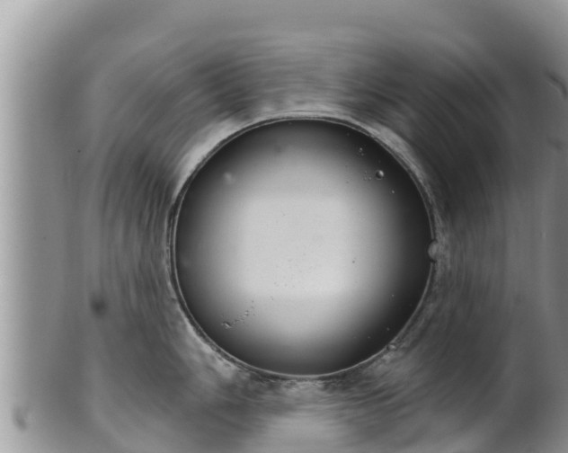 X0000102241006200808011243