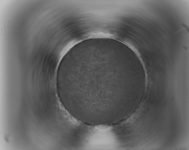 X0000102241008200808011243