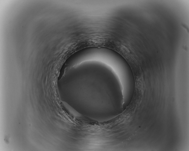 X0000102241009200808011243