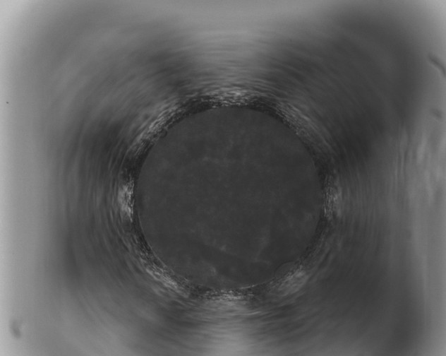 X0000102241010200808011243