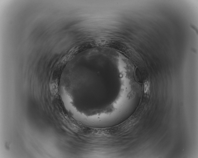 X0000102241011200808011243