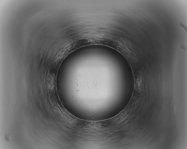 X0000102241012200808011243