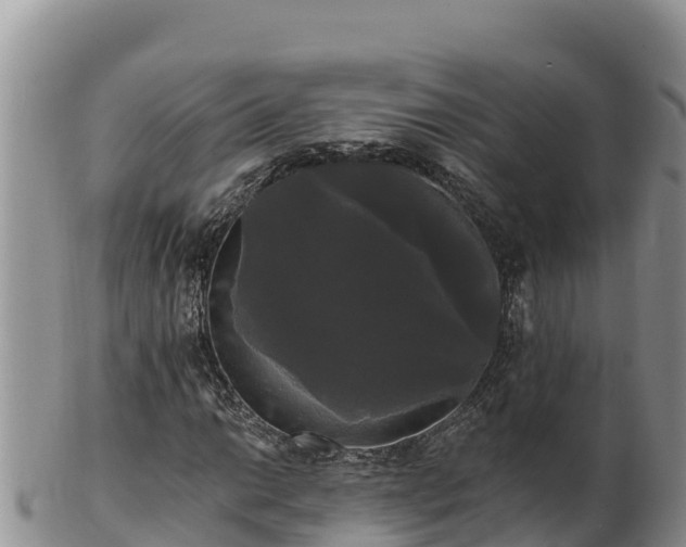 X0000102241014200808011243