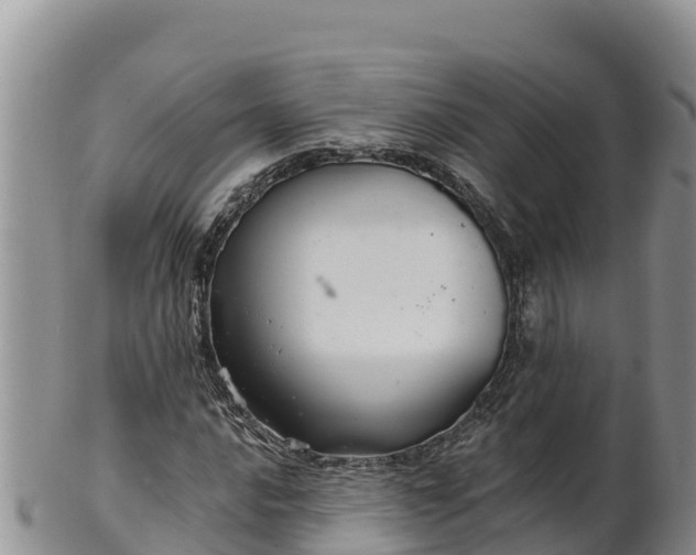 X0000102241016200808011243