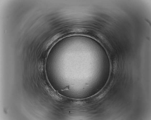 X0000102241017200808011243