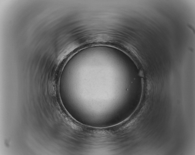 X0000102241018200808011243