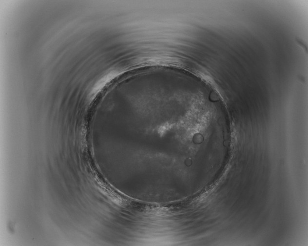 X0000102241019200808011243