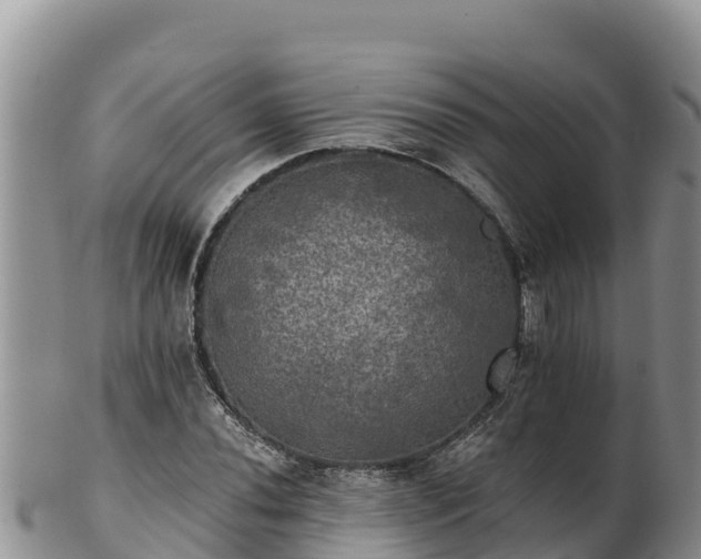 X0000102241020200808011243