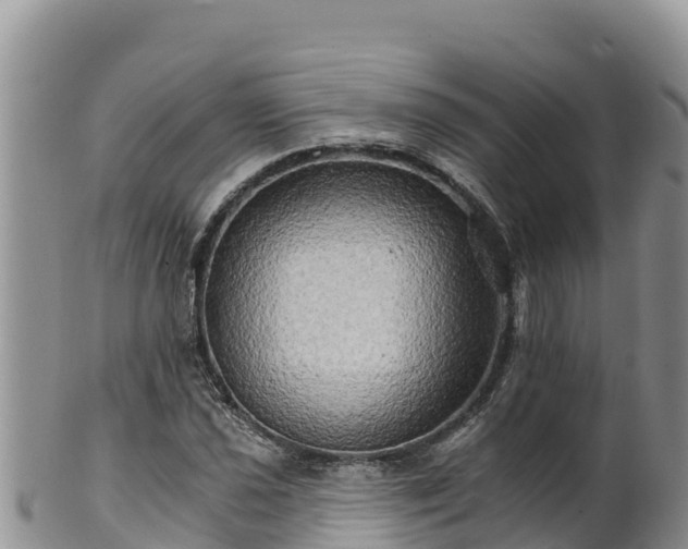 X0000102241021200808011243