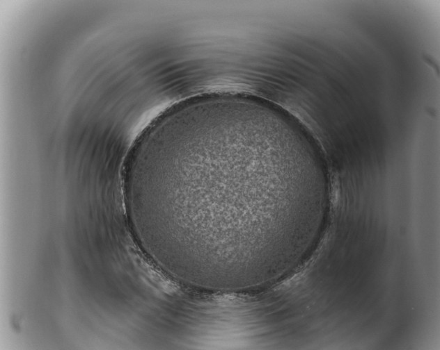 X0000102241022200808011243