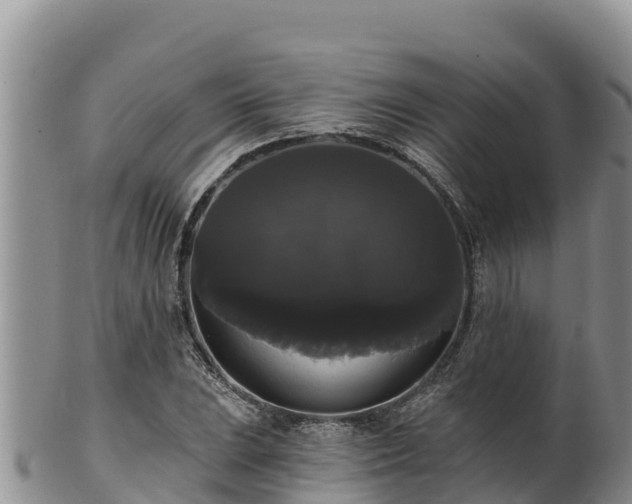 X0000102241023200808011243