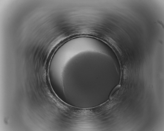 X0000102241024200808011243