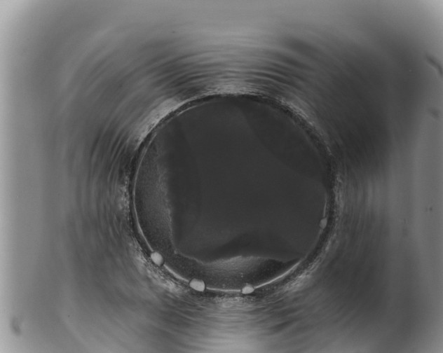 X0000102241025200808011243