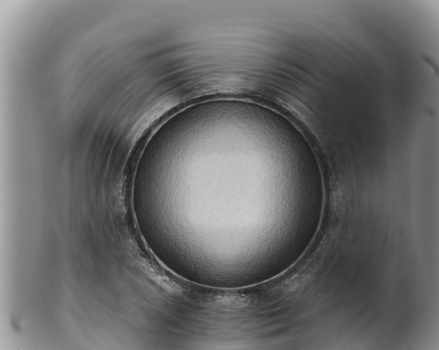 X0000102241026200808011243