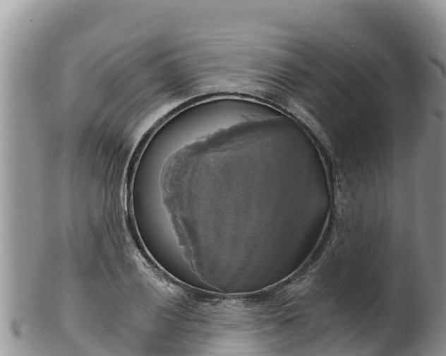 X0000102241028200808011243