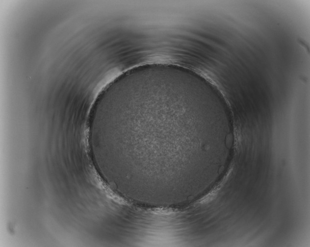 X0000102241029200808011243