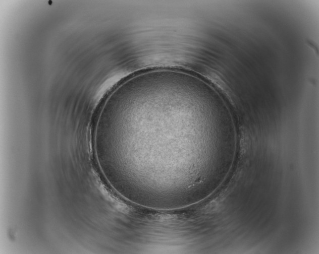 X0000102241030200808011243