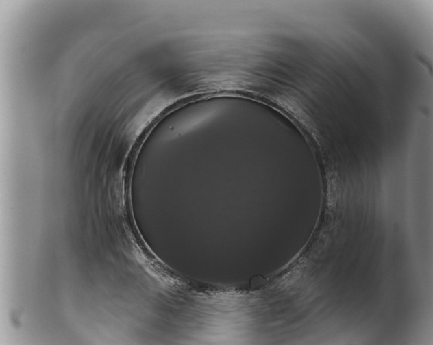 X0000102241031200808011243