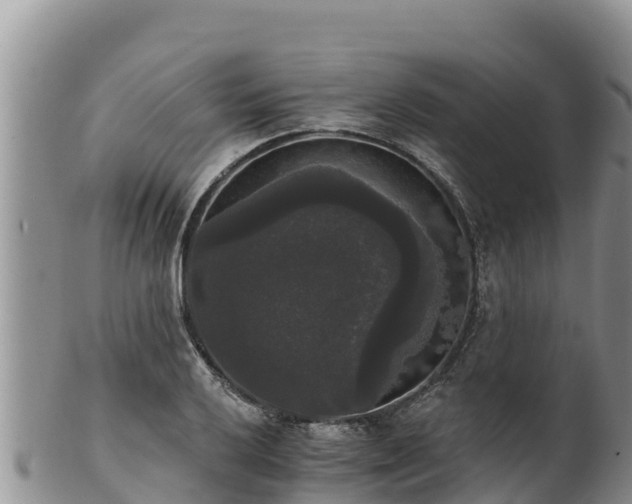 X0000102241032200808011243