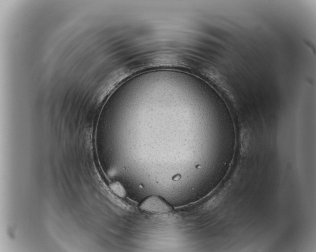 X0000102241033200808011243