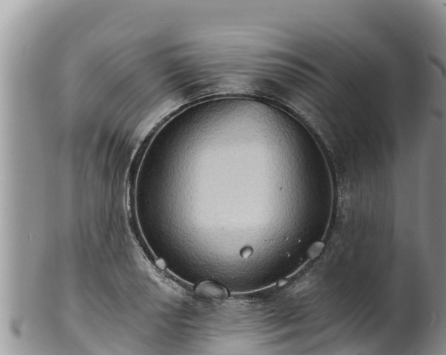 X0000102241034200808011243