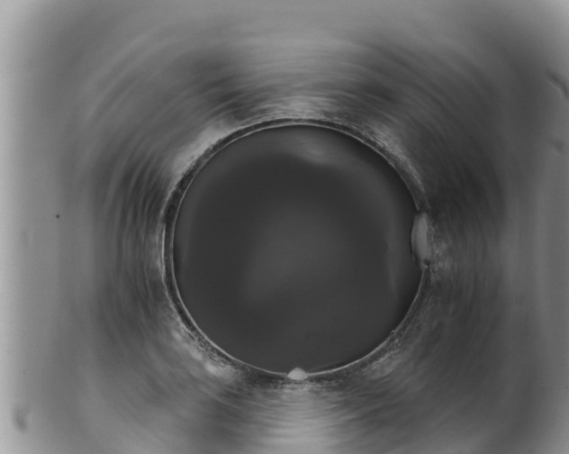 X0000102241035200808011243