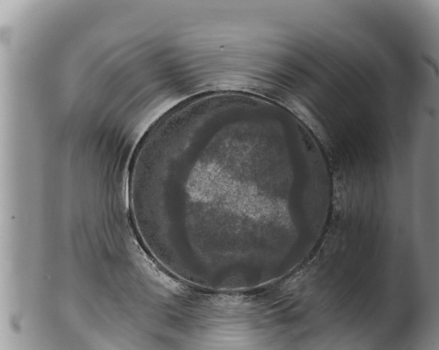 X0000102241036200808011243