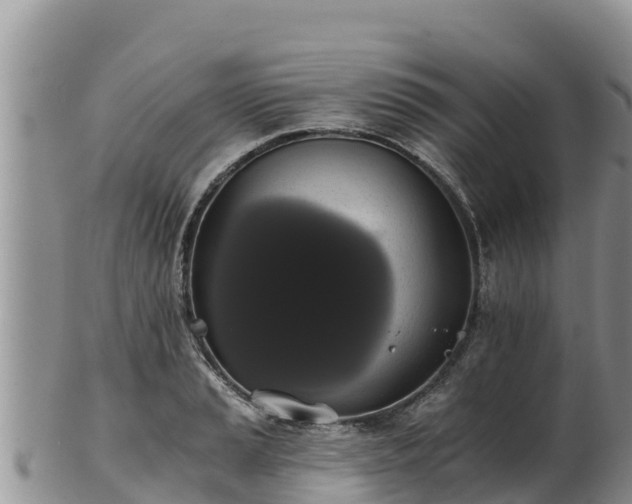 X0000102241037200808011243