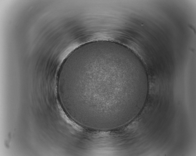 X0000102241038200808011243