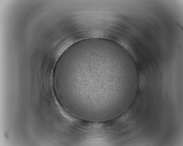 X0000102241039200808011243