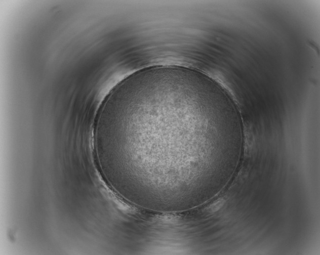 X0000102241040200808011243