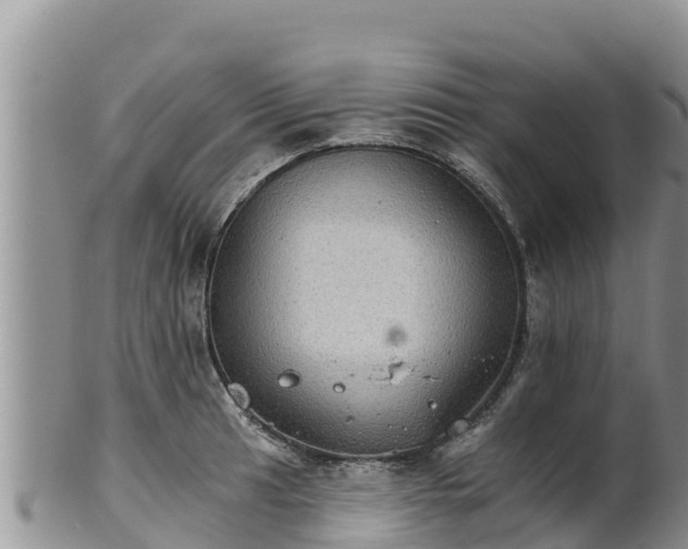 X0000102241041200808011243