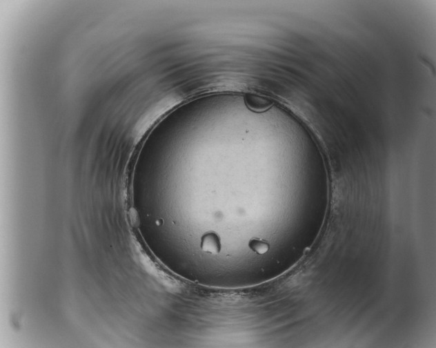 X0000102241042200808011243