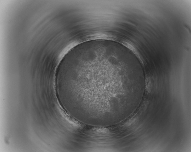 X0000102241043200808011243