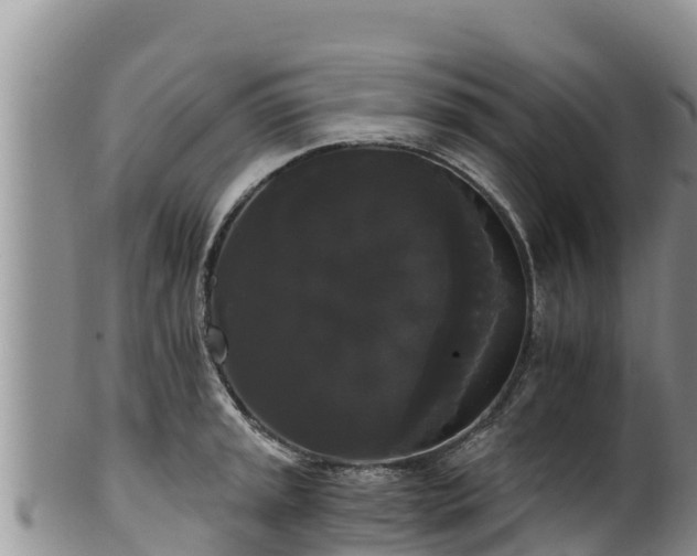 X0000102241045200808011243