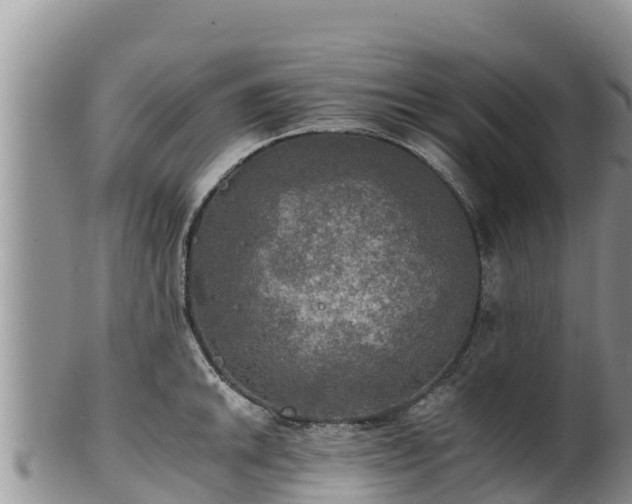 X0000102241046200808011243