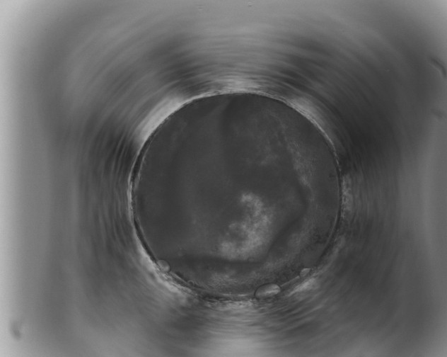 X0000102241047200808011243