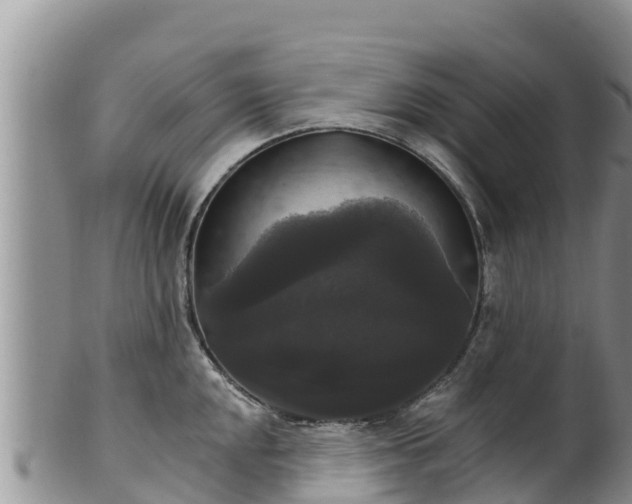 X0000102241048200808011243